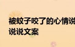 被蚊子咬了的心情说说配图 被蚊子咬死了的说说文案