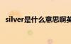 silver是什么意思啊英语 silver是什么意思