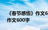 《春节感悟》作文600字初中 《春节感悟》作文600字