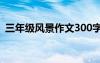 三年级风景作文300字秋天 三年级风景作文