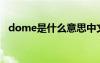 dome是什么意思中文 dom什么意思中文