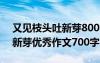 又见枝头吐新芽800字作文高中 又见枝头吐新芽优秀作文700字