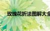 玫瑰花折法图解大全 玫瑰花的折法图解