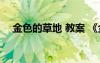 金色的草地 教案 《金色的草地》的教案