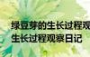 绿豆芽的生长过程观察日记400字 绿豆芽的生长过程观察日记