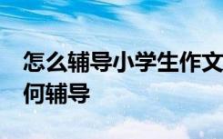 怎么辅导小学生作文 有好教材吗 小学作文如何辅导