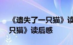 《遗失了一只猫》读后感300字 《遗失了一只猫》读后感