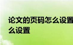 论文的页码怎么设置的不一样 论文的页码怎么设置