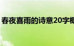 春夜喜雨的诗意20字概括 春夜喜雨的诗意(2)