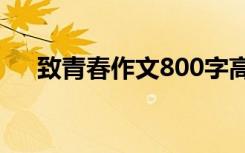 致青春作文800字高一作文 致青春作文