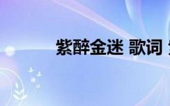 紫醉金迷 歌词 紫醉金迷的含义