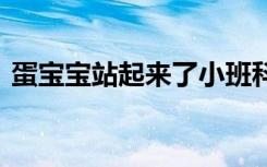 蛋宝宝站起来了小班科学教案 小班科学教案