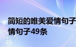 简短的唯美爱情句子49条图片 简短的唯美爱情句子49条