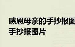 感恩母亲的手抄报图片简单漂亮 感恩母亲的手抄报图片