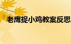 老鹰捉小鸡教案反思中班 老鹰捉小鸡教案