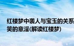 红楼梦中袭人与宝玉的关系 袭人和宝玉同床共枕---一个可笑的意淫(解读红楼梦)