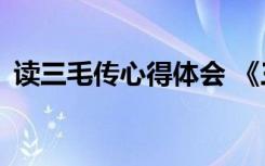 读三毛传心得体会 《三毛传》读后感600字