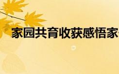 家园共育收获感悟家长 家园共育收获感悟