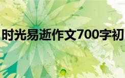 时光易逝作文700字初中 时光易逝作文700字