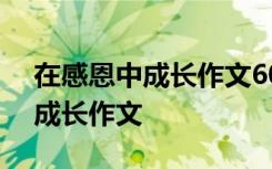 在感恩中成长作文600字优秀作文 在感恩中成长作文