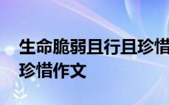 生命脆弱且行且珍惜句子 生命残又弱且行且珍惜作文