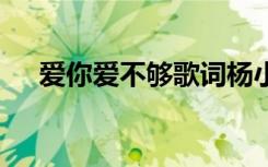 爱你爱不够歌词杨小壮 爱你爱不够歌词