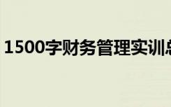 1500字财务管理实训总结 财务管理实习心得