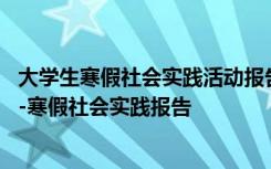 大学生寒假社会实践活动报告范文 大学生寒假社会实践报告-寒假社会实践报告