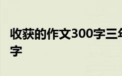 收获的作文300字三年级上册 收获的作文300字