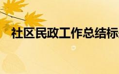 社区民政工作总结标题 社区民政工作总结