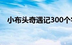 小布头奇遇记300个字 小布头奇遇记作文