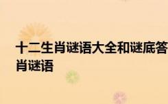 十二生肖谜语大全和谜底答案:十二生肖谜语及答案 十二生肖谜语