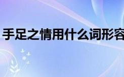 手足之情用什么词形容? 手足之情的成语解释