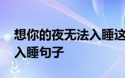 想你的夜无法入睡这是什么歌 想你的夜无法入睡句子