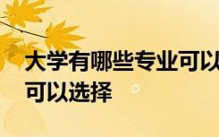 大学有哪些专业可以选择的 大学有哪些专业可以选择