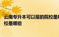 云南专升本可以报的院校是哪些学校 云南专升本可以报的院校是哪些