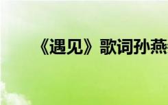 《遇见》歌词孙燕姿 《遇见》的歌词