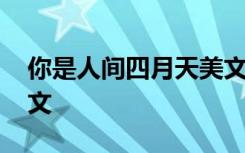 你是人间四月天美文 你是人间四月天经典散文