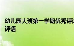 幼儿园大班第一学期优秀评语大全 幼儿园大班第一学期幼儿评语