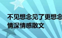 不见想念见了更想念 不见才知想念离别才知情深情感散文