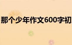 那个少年作文600字初三 那个少年作文600字