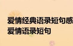 爱情经典语录短句感人 爱情经典语录短句 的爱情语录短句