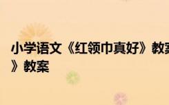 小学语文《红领巾真好》教案及反思 小学语文《红领巾真好》教案