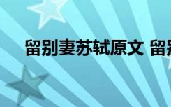 留别妻苏轼原文 留别妻原文翻译及赏析