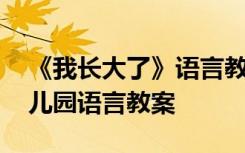 《我长大了》语言教案详案 《我长大了》幼儿园语言教案