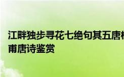 江畔独步寻花七绝句其五唐杜甫 《江畔独步寻花七绝句》杜甫唐诗鉴赏