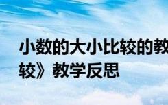 小数的大小比较的教学反思 《小数的大小比较》教学反思