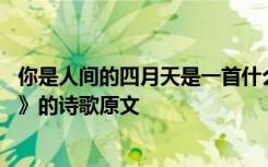 你是人间的四月天是一首什么样的诗歌 《你是人间的四月天》的诗歌原文