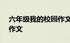 六年级我的校园作文300字 六年级我的校园作文