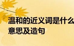 温和的近义词是什么 ? 温和的近义词、读音、意思及造句